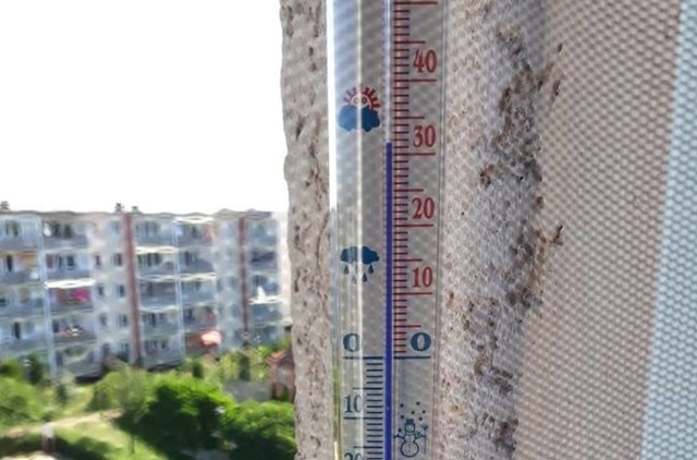 Żar leje się z nieba. Dzisiaj, 31 sierpnia w całym regionie temperatura sięga powyżej 30 stopni Celsjusza. Rano stolica województwa była najgorętszym miejscem na mapie Polski. Niestety, po południu musimy spodziewać się burz.