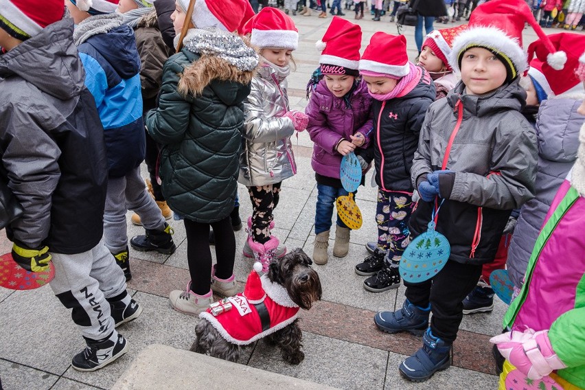 Tarnowskie przedszkolaki przystroiły choinki pod Ratuszem [ZDJĘCIA]