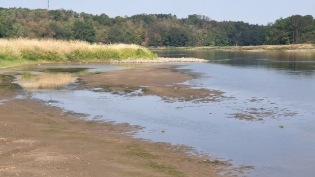 Woda w Odrze została skażona pod koniec lipca