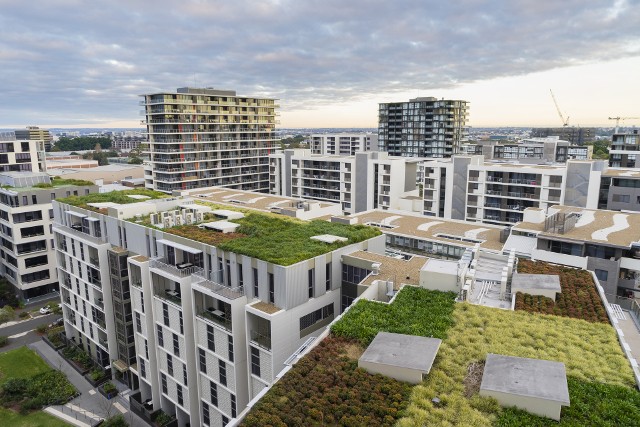 Budynki z zielonymi dachami to moda, ale i spore oszczędności (fot. AdobeStock)