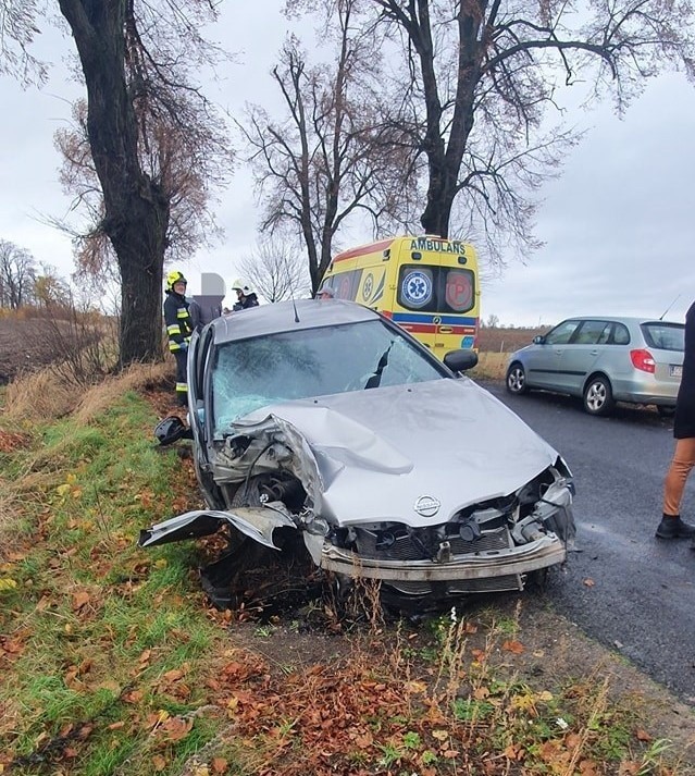 Wypadek na drodze z Wiskitna do Osieka. Auto uderzyło w drzewo [zdjęcia]