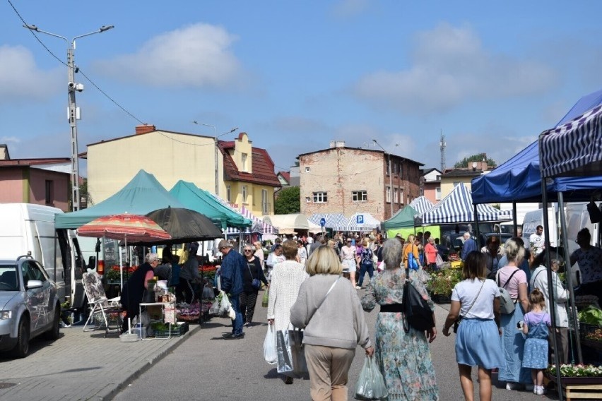 Kaszubskie truskawki. Ile kosztują? Czy są drogie? Aktualne ceny. Od kiedy sezon? Gdzie kupić?