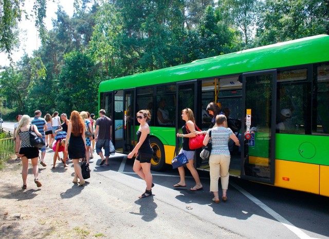 Linia obsługująca rejon Strzeszyna otrzymała krótsze autobusy, ze względu na małą liczbę pasażerów na większości kursów - jednak w godzinach szczytu okazują się być za mało pojemne. ZTM obiecuje wznowienie kursów dłuższymi autobusami