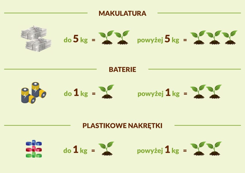 Akcja ekologiczna Echa Dnia "Drzewko za surowce wtórne" w Sandomierzu! Oddaj makulaturę, plastikowe nakrętki lub baterie i odbierz sadzonki