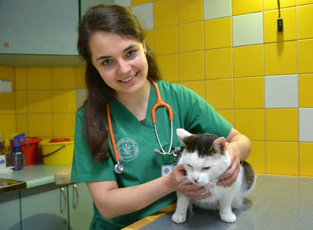 Do kliniki przy Lubelskim Centrum Małych Zwierząt często przywożone są koty, w których ciałach odnajdywane są resztki śrutu