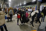 Nocny pociąg z uchodźcami z Ukrainy przyjechał do Poznania. Wolontariusze częstują kanapkami i wskazują drogę. Zobacz zdjęcia i wideo