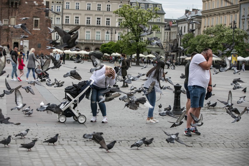 Sobota na Rynku Głównym - pierwsza po "odmrożeniu" branży...