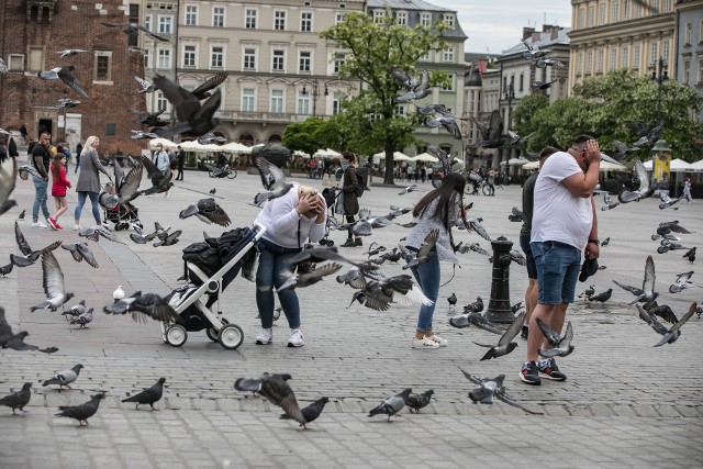 Sobota na Rynku Głównym - pierwsza po "odmrożeniu" branży gastronomicznej. Zobacz w galerii, jak wyglądała >>>Przesuwaj zdjęcia w prawo - naciśnij strzałkę lub przycisk NASTĘPNE