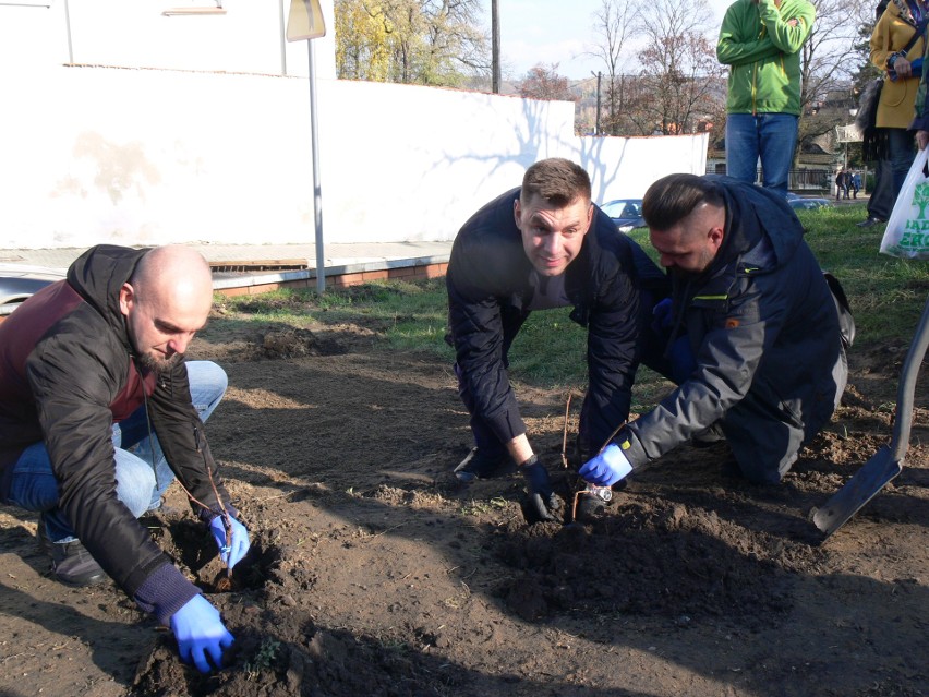 W gronie osób, które posadziły sadzonki był burmistrz Marcin...