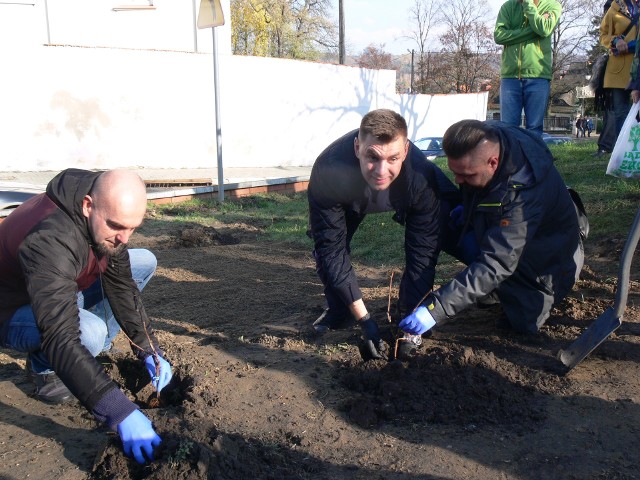 W gronie osób, które posadziły sadzonki był burmistrz Marcin Marzec (w środku)