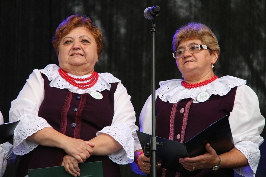 Miejskie dożynki odbywają się w niedzielę w Dąbrowie...