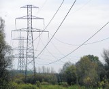 Rajsko: Kable elektryczne są niebezpiecznie nisko nad ziemią