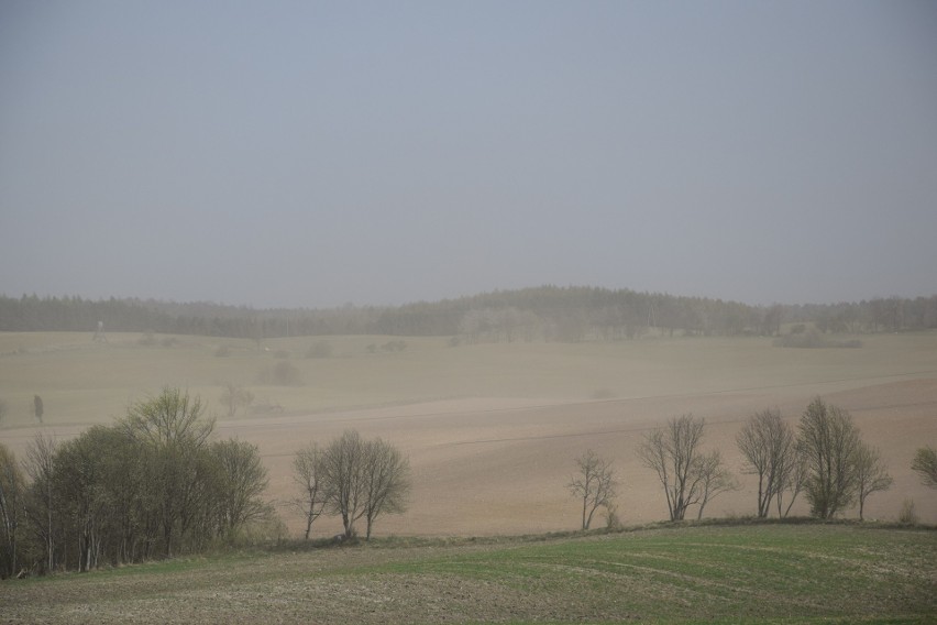 W Miastku i okolicy mocno wieje