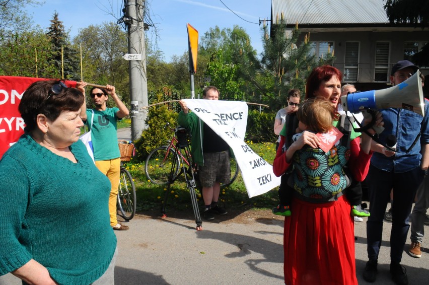 Kraków. Mieszkańcy chcą ochrony wielkiego dębu. Nazwali go Jacek. Ale i tak czeka go wycinka