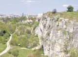 Radni z komisji mienia zgodzili się na zakup terenu wokół Zakrzówka 