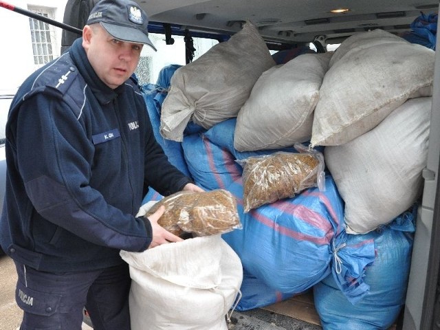 Krzysztof Gaca z koneckiej policji prezentuje tytoń przejęty w środowy wieczór.