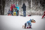 Prognoza pogody na luty 2021: srogie mrozy  na początku miesiąca. IMGW przewiduje chłodniejszy luty niż styczeń. Ale będą okresy odwilży