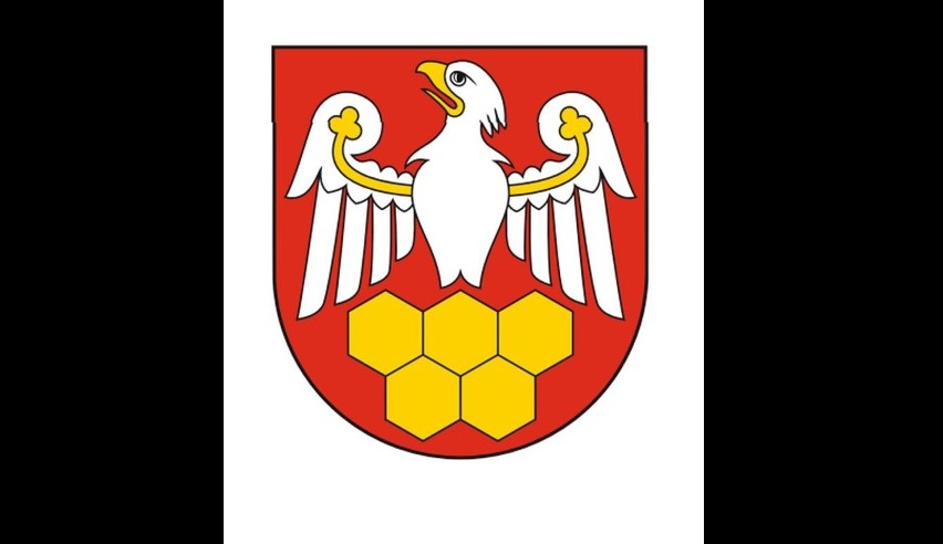 Powiat ostrołęcki z flagą i herbem. Rada powiatu przyjęła stosowną uchwałę
