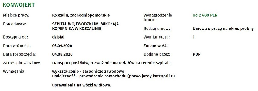 Prawie 50 ofert pracy w Koszalinie i okolicach! Sprawdź!