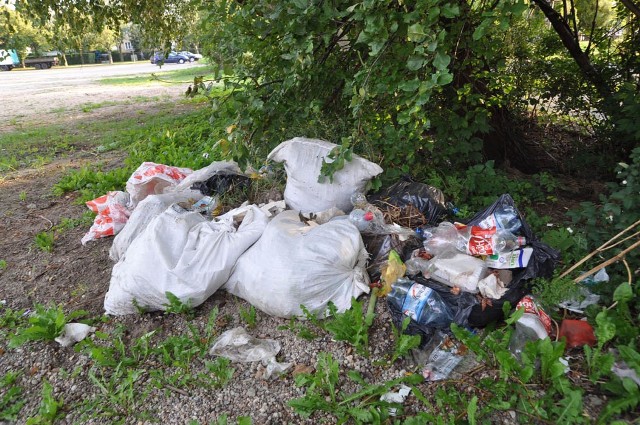 Podobny problem z pozostawianiem śmieci w przypadkowych miejscach w Kołobrzegu. Tutaj również interweniowali strażnicy miejscy.