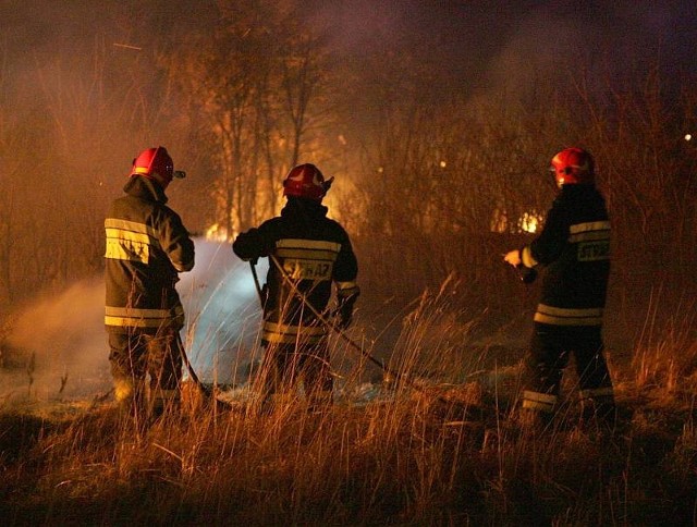 Spłonęła altana w okolicy ul. Wyszyńskiego w Gorzowie. W zgliszczach odnaleziono zwłoki mężczyzny.