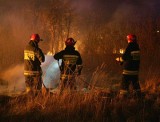 Tragiczny pożar w Gorzowie. W spalonej altanie znaleziono zwłoki mężczyzny