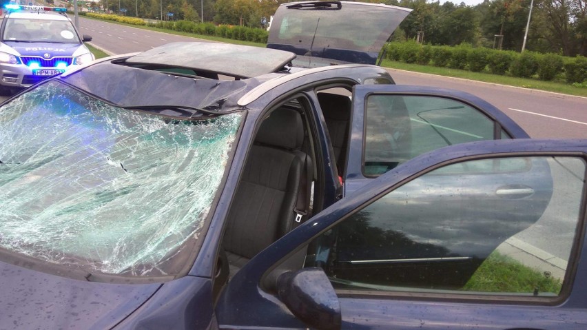 Lancia lybra zderzyła się z łosiem na ulicy Popiełuszki w...