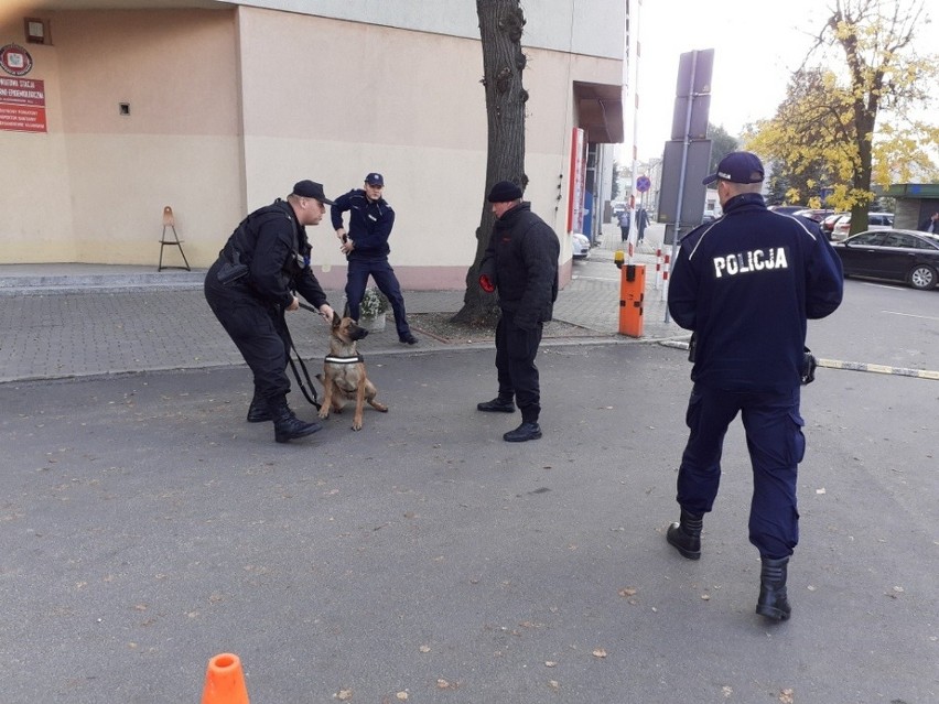 Ćwiczenia Kobra 19 organizują władze miast. Ich celem jest...