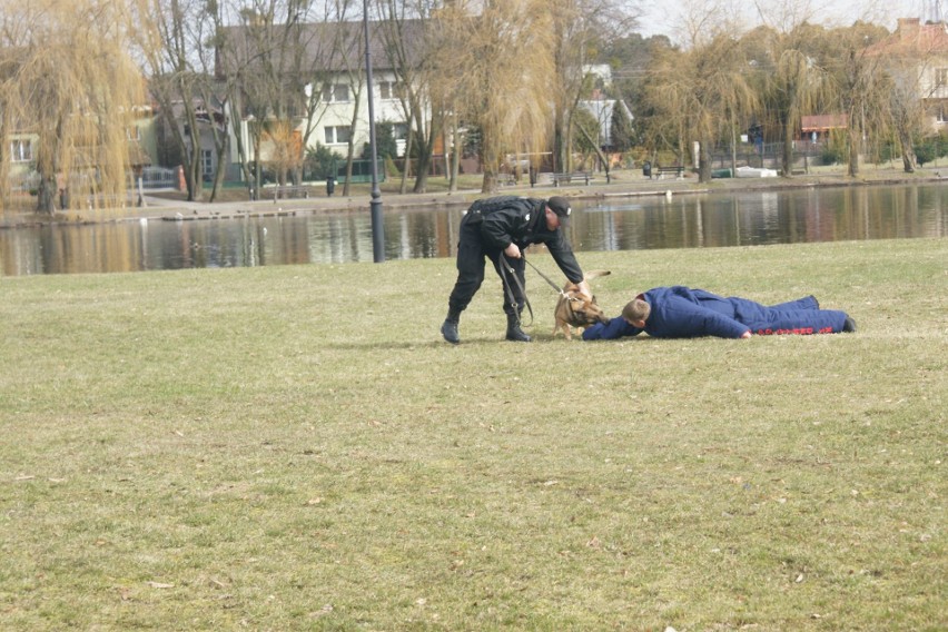 Szkolenie przewodników psów policyjnych na bulwarach (zdjęcia)