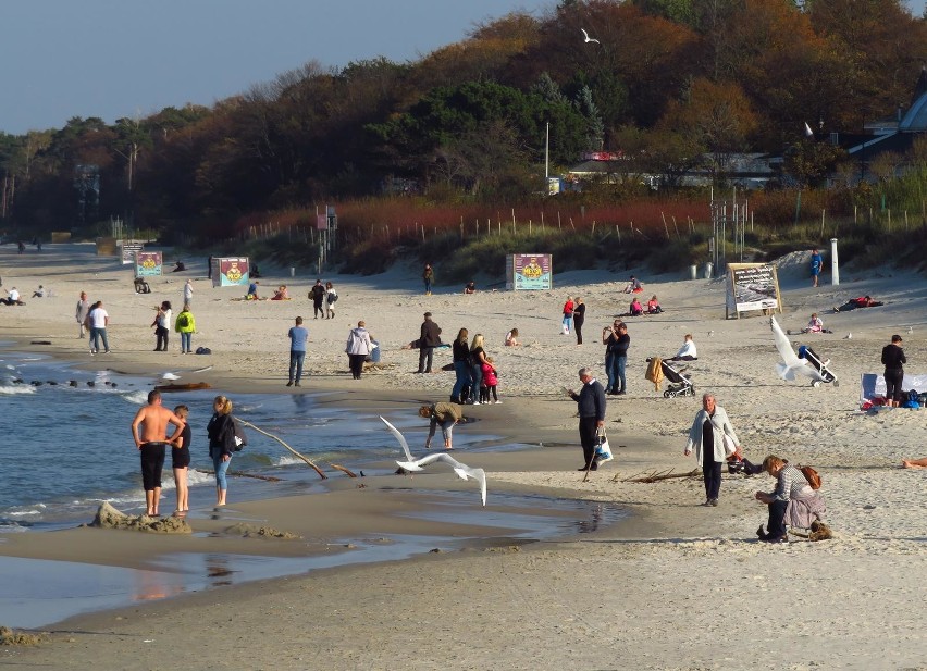 Słoneczna, wtorkowa pogoda sprzyjała spacerom po plaży w...