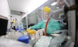 Nowy wirus grypy H3N2 dotrze do Polski? Jest niezwykle groźny