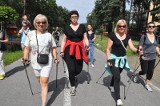 W sobotę otwarcie Parku Nordic Walking w Rudzie Malenieckiej. Pierwszy rajd ruszy z Młotkowic