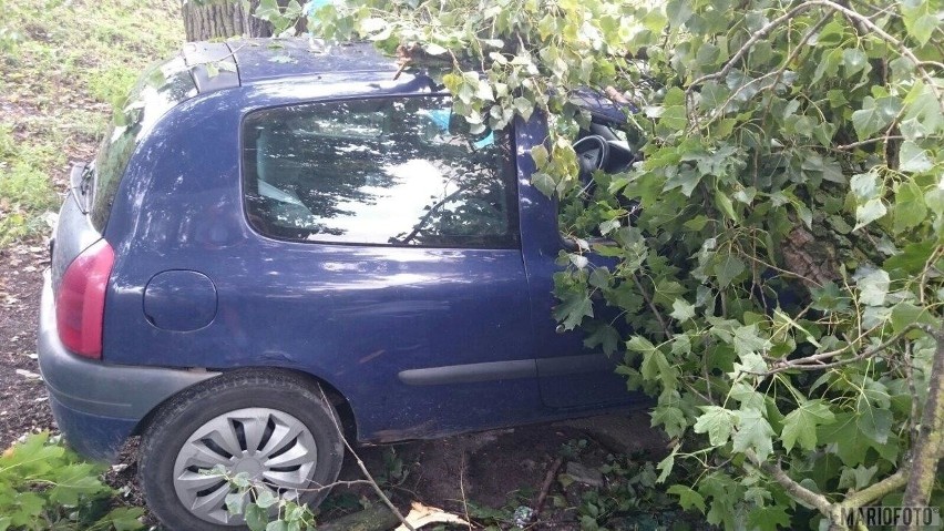 Potężny konar runął na renault clio zaparkowane przy ul....