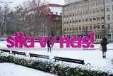 Zima ponownie zawitała do Poznania! Zobacz, jak wygląda ośnieżone miasto. Jak długo utrzyma się śnieg? Szykują się przymrozki