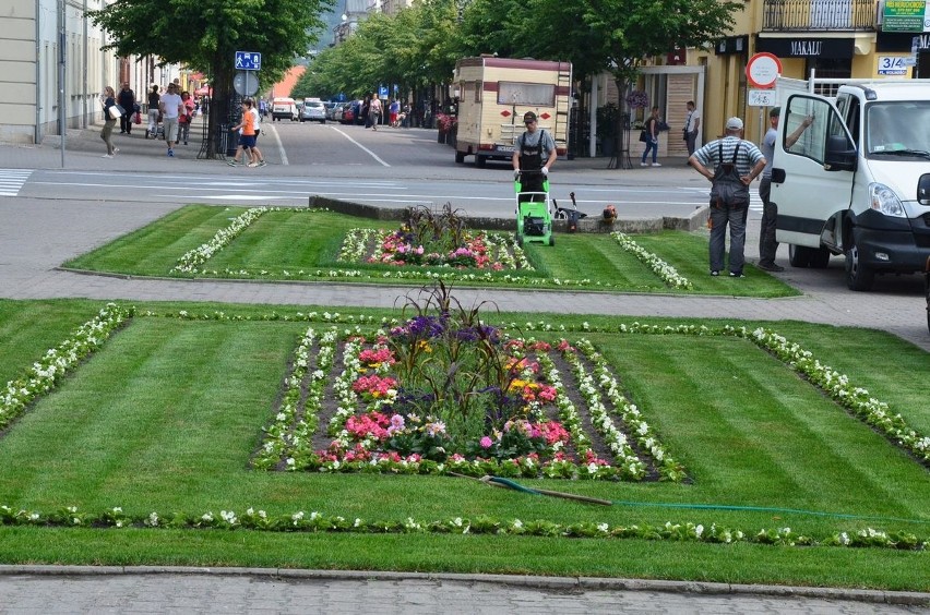 Miasto zarośnięte trawą i chwastami. Tak w najbliższych miesiącach może wyglądać Włocławek