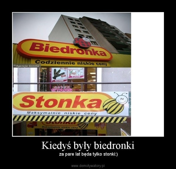 Ten sklep codziennie odwiedzają tysiące Polaków. Zobacz najlepsze memy o Biedronce! 