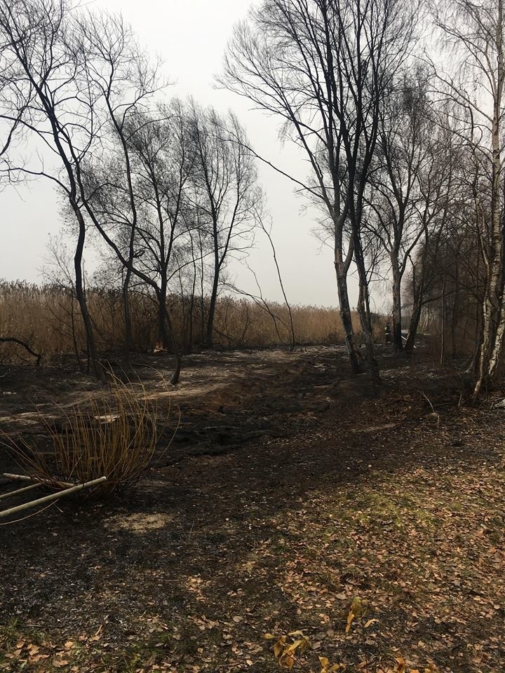 Pożar w Trzebieży. Podejrzani zatrzymani. "To byli zwyczajni i spokojni chłopcy". Straty w Trzebieży wycenione na ponad 3 mln zł 