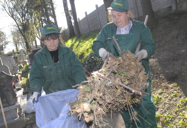 Akcja sprzątania liści na Starym Cmentarzu.