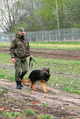 Kwarantanna domowa zmieni się w kwarantannę krajową. Koronawirus reaktywuje Wojska Ochrony Pogranicza?