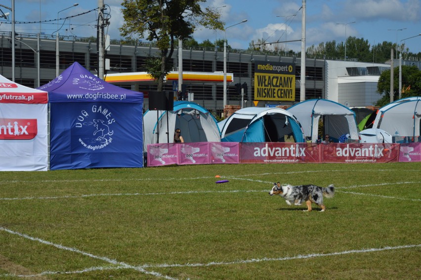 Dla nich grawitacja nie istnieje! "Latające psy" rywalizują w pierwszy sierpniowy weekend w Parku Kolibki Gdyni [zdjęcia]