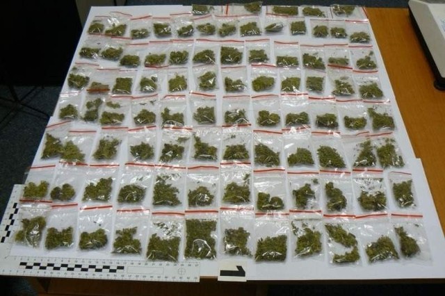 Podczas przeszukania znalezione woreczki z marihuaną