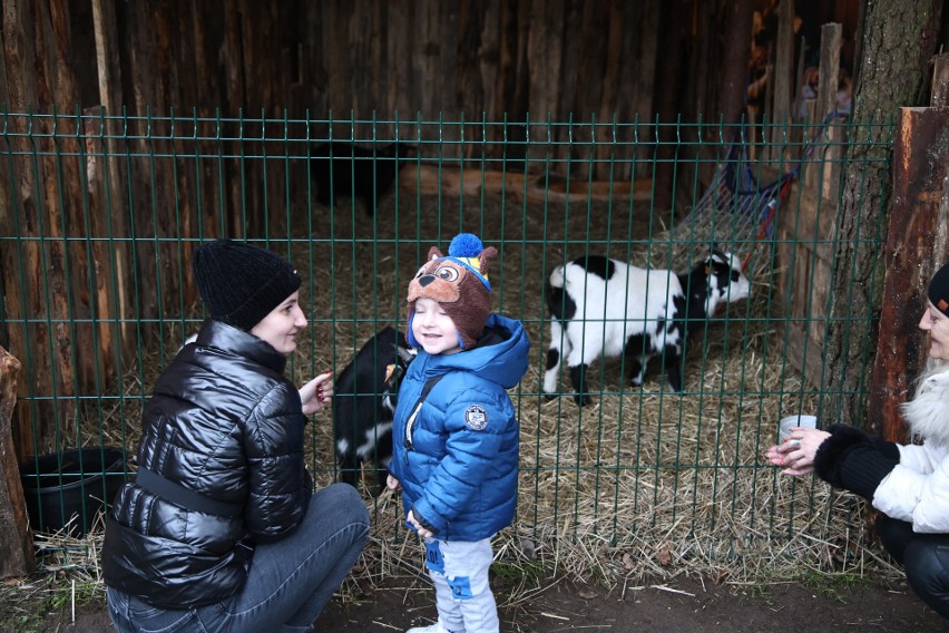 Żywa szopka w zoo "Leśne Zacisze" w Lisowie.