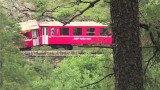Pociąg osobowy wykoleił się w szwajcarskich Alpach [wideo] 