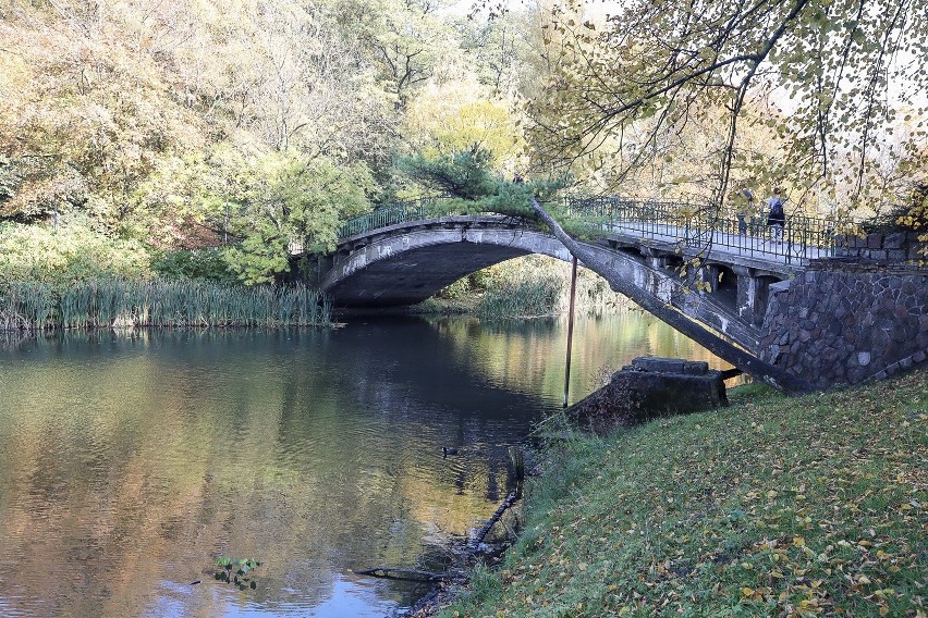 Mostek Japoński w Parku Kasprowicza w Szczecinie odzyska dawny blask. Wiemy, kto go wyremontuje [ZDJĘCIA]