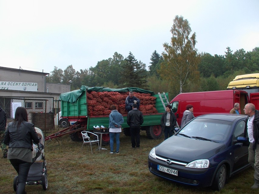 Pokopki 2018 w Karżniczce.