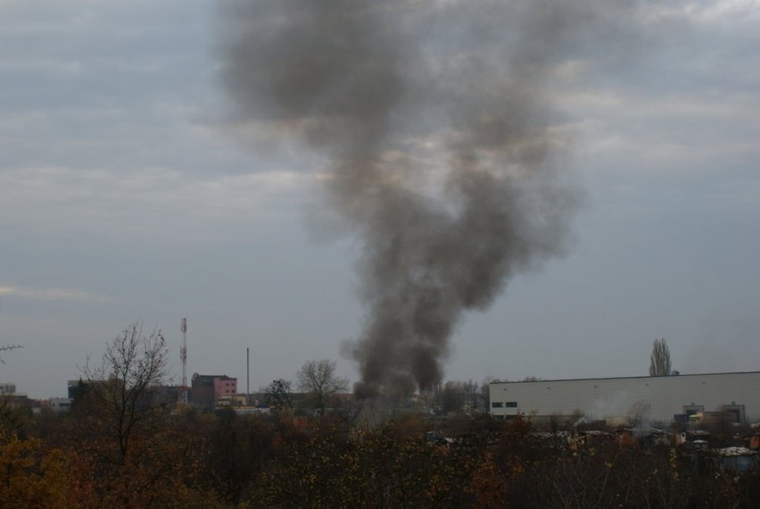 Wrocław: Skazani na sąsiedztwo Romów. Jak w trzecim świecie (ZOBACZ FILM I ZDJĘCIA MIESZKAŃCÓW)