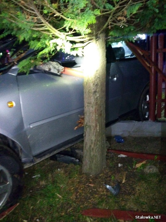 W Zbydniowie audi staranowało ogrodzenie posesji i uderzyło w drzewo. Kierowca był mocno pijany, pasażerowie uciekli! Zobacz zdjęcia