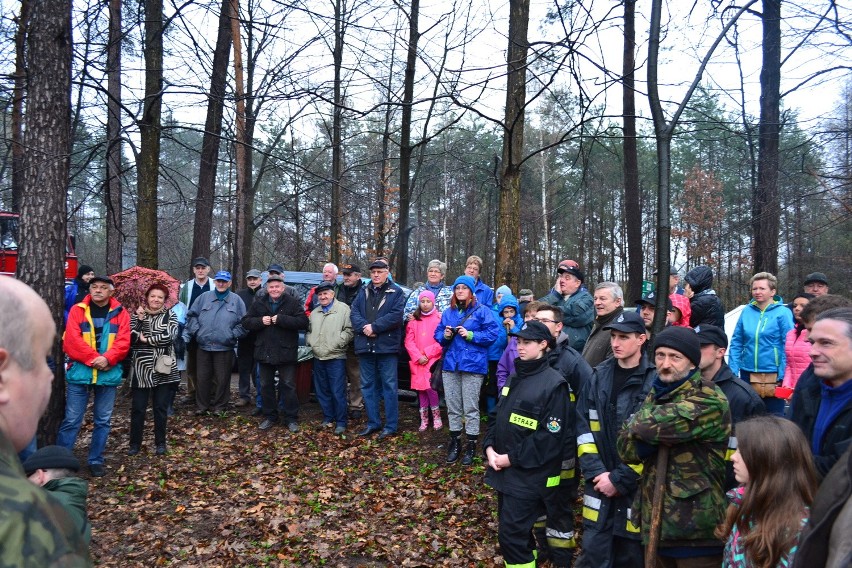 Dąbrowa Górnicza: Las Europejski posadzony już po raz dwunasty [ZDJĘCIA]