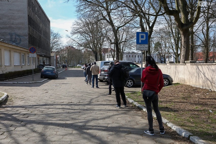 Krew niezywkle cenna! Szczecińska stacja poszukuje krwiodawców 