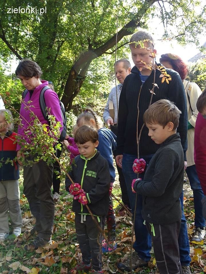 Półdziki skwer w Zielonkach pod lupą najmłodszych odkrywców przyrody